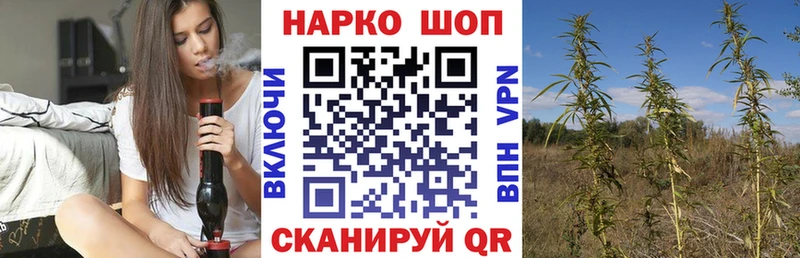 Где купить наркоту Александровское Канабис  ТГК  Альфа ПВП  АМФ  ГАШИШ  Меф  Кокаин 
