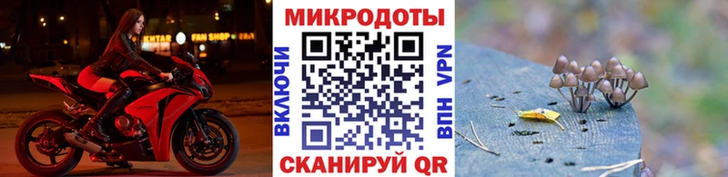 как найти наркотики  Александровское  МЕГА сайт  Псилоцибиновые грибы GOLDEN TEACHER 